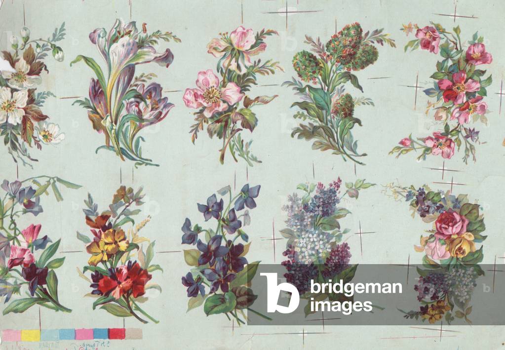 Flowers, 1900s (colour litho)