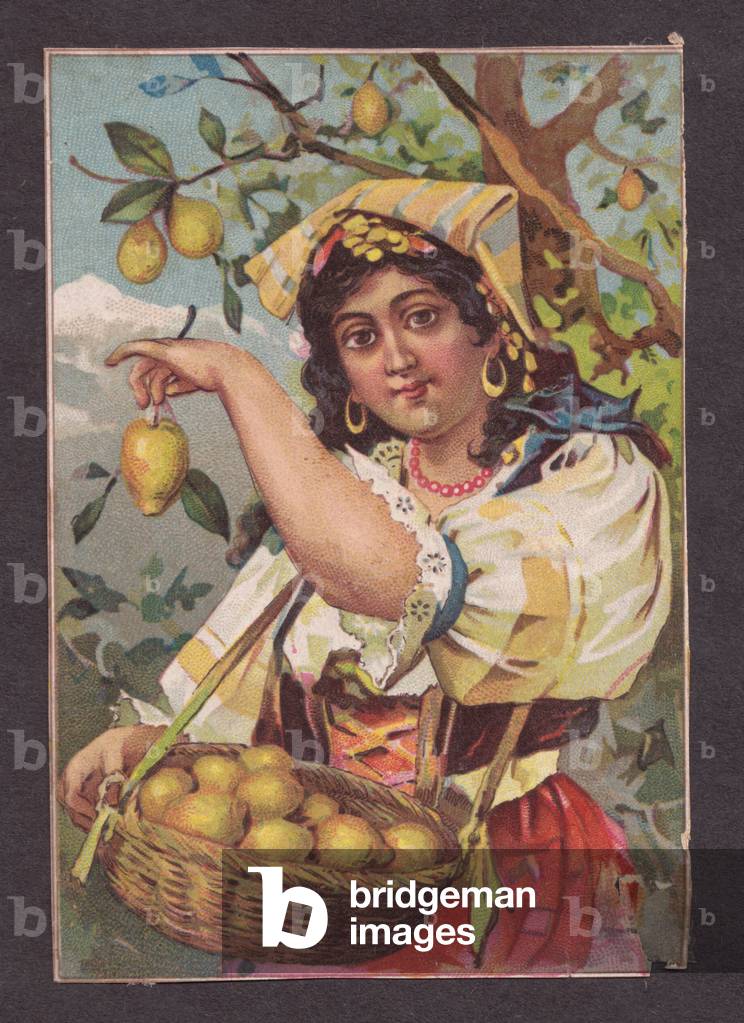 Woman picking fruit, 1900s (colour litho)