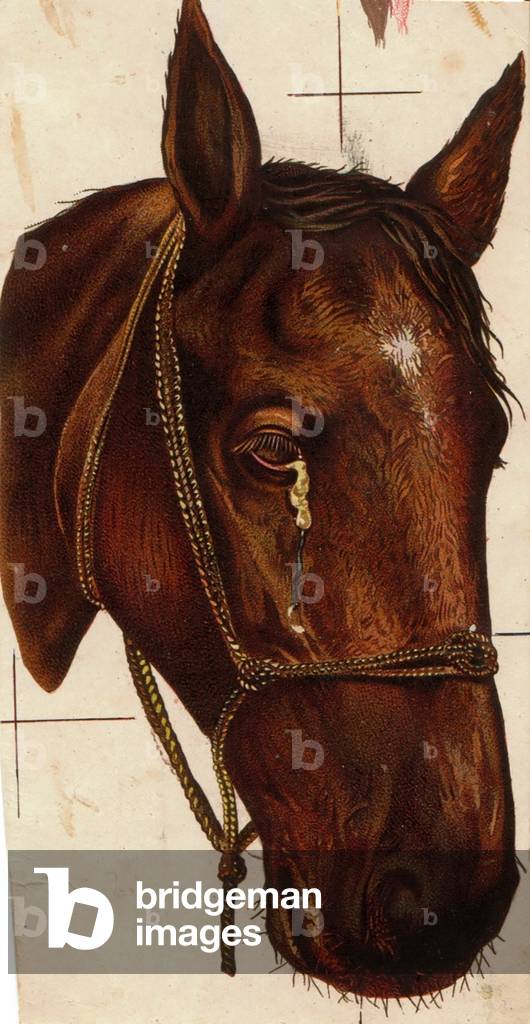 Horse, 1900s (colour litho)