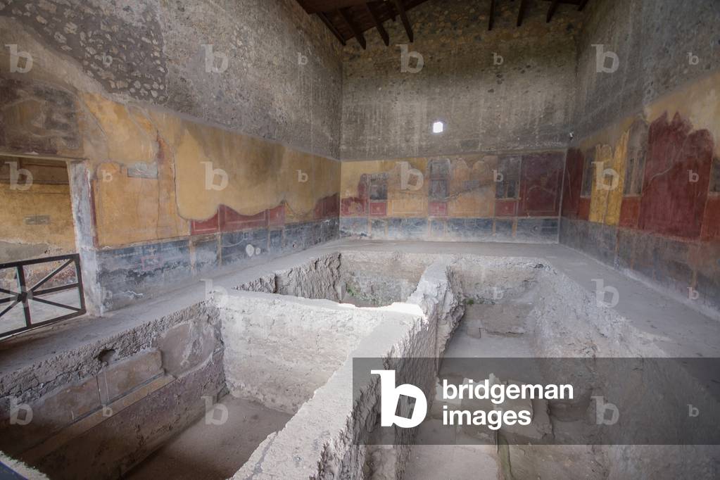 View of Pompei, house of menander (photo)