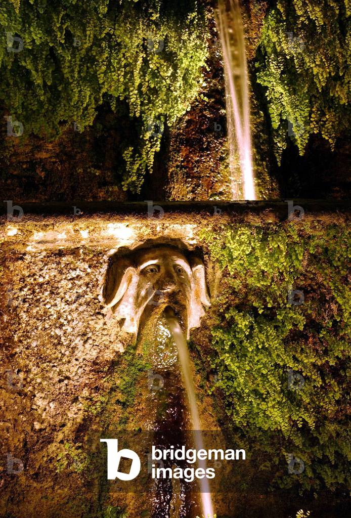 29/07/2004, detail du parc de la Villa d'Este. Elle fut construite vers 1550 par le Cardinal Ippolito d'Este. Tivoli.  Photo Frassineti ©AGF/Leemage