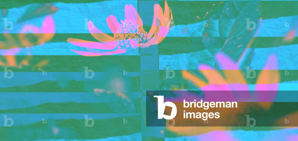 Allways and everywhere, 2019 (collage)