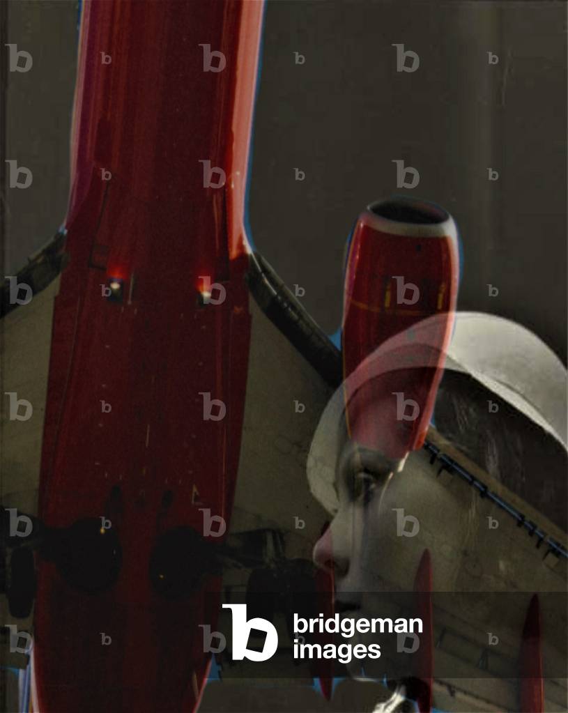 flying thoughts,2020,(collage)