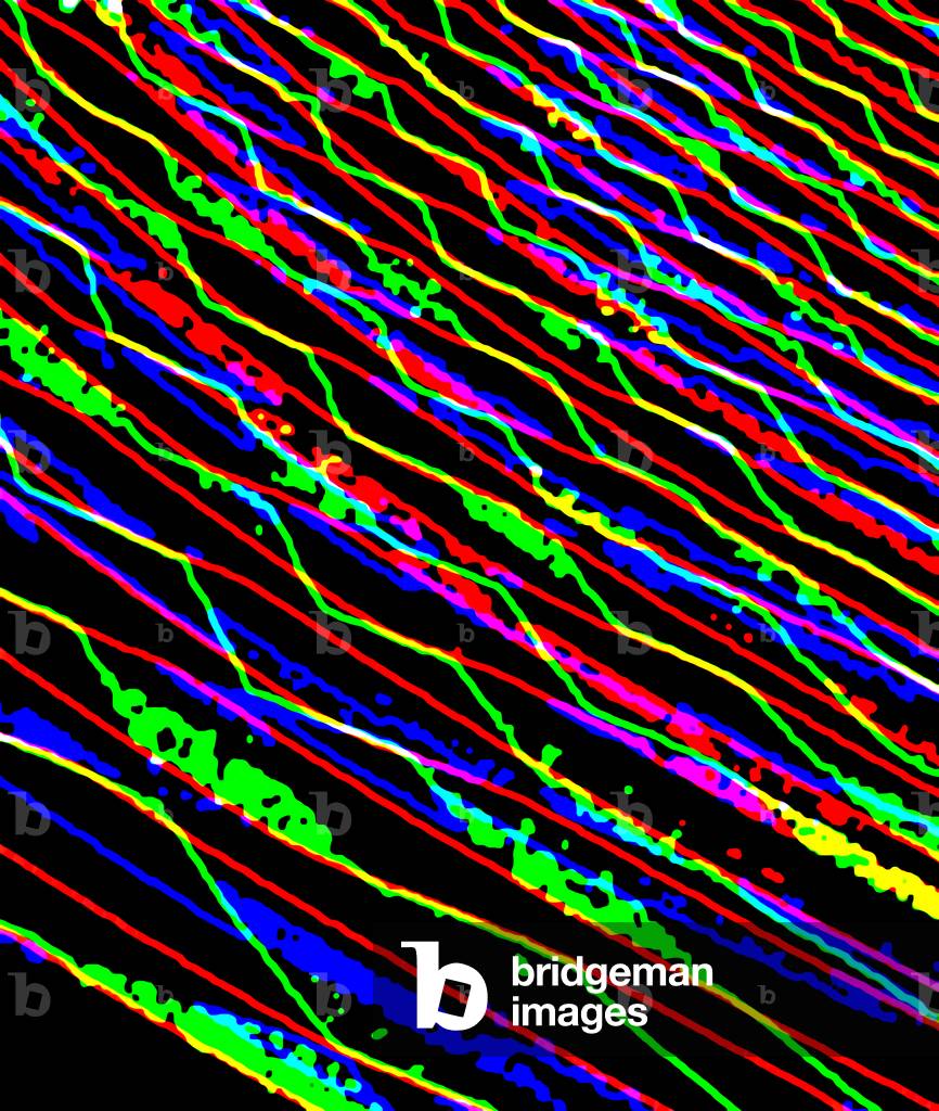 Untitled, 2017 (digital)