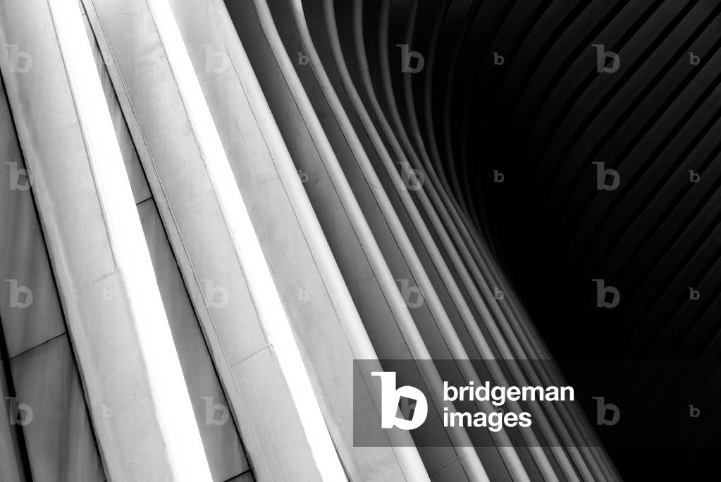 Oculus Nº5, 2020 (photography)