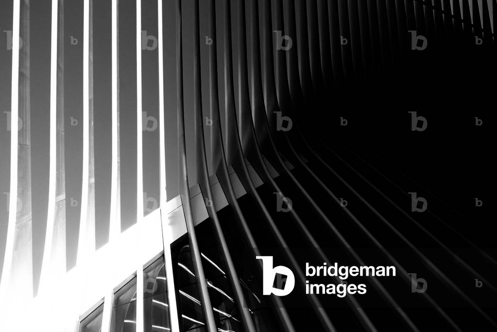 Oculus Nº7, 2020 (photography)