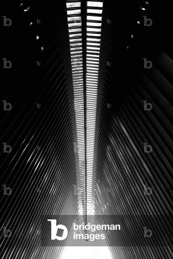 Oculus Nº2, 2020 (Photography)