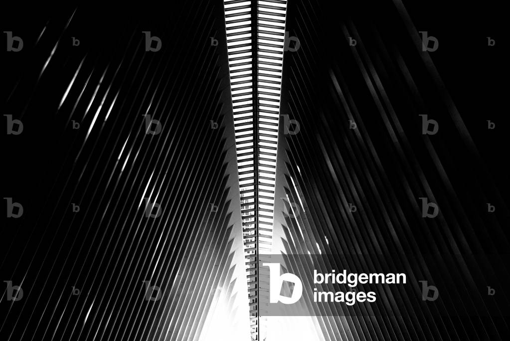 Oculus Nº8, 2020 (photography)