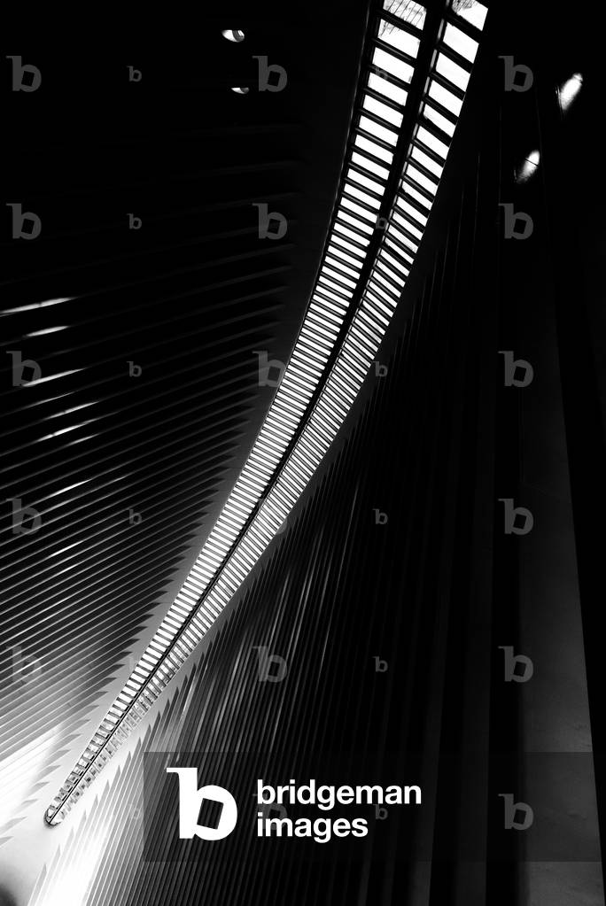 Oculus Nº3, 2020 (photography)