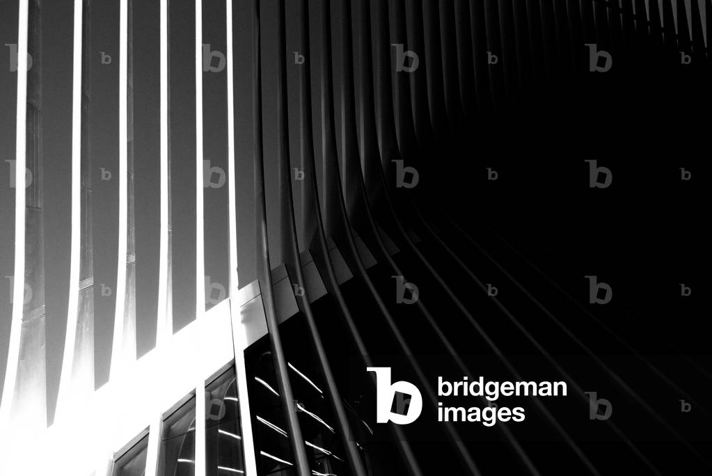 Oculus Nº9, 2020 (photography)