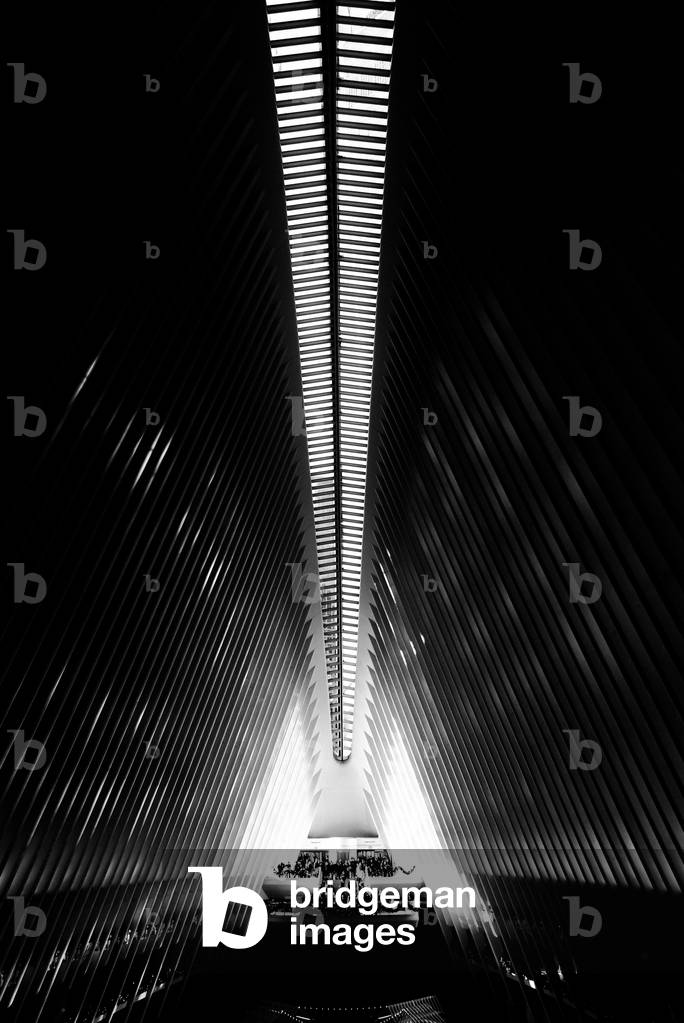 Oculus Nº4, 2020 (photography)