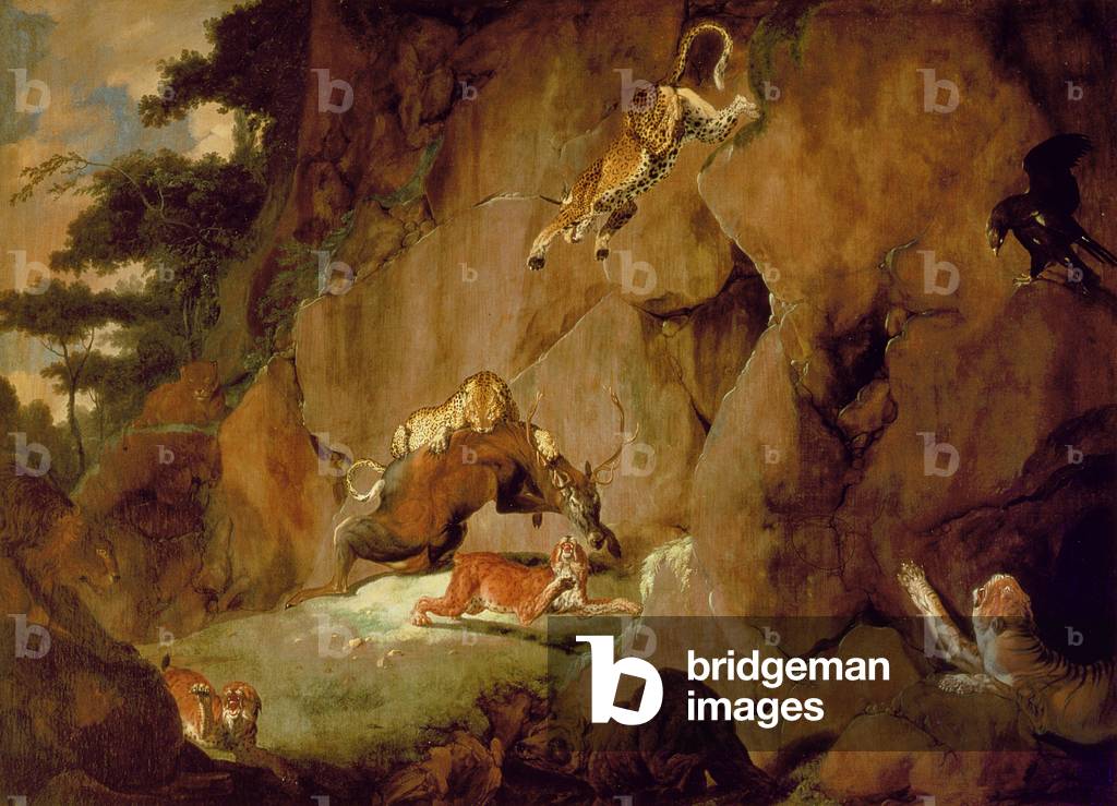 Immagine di Dipinto "Un branco di animali selvaggi che attaccano un'antilope", 17th Secolo di Carl Borromaus A