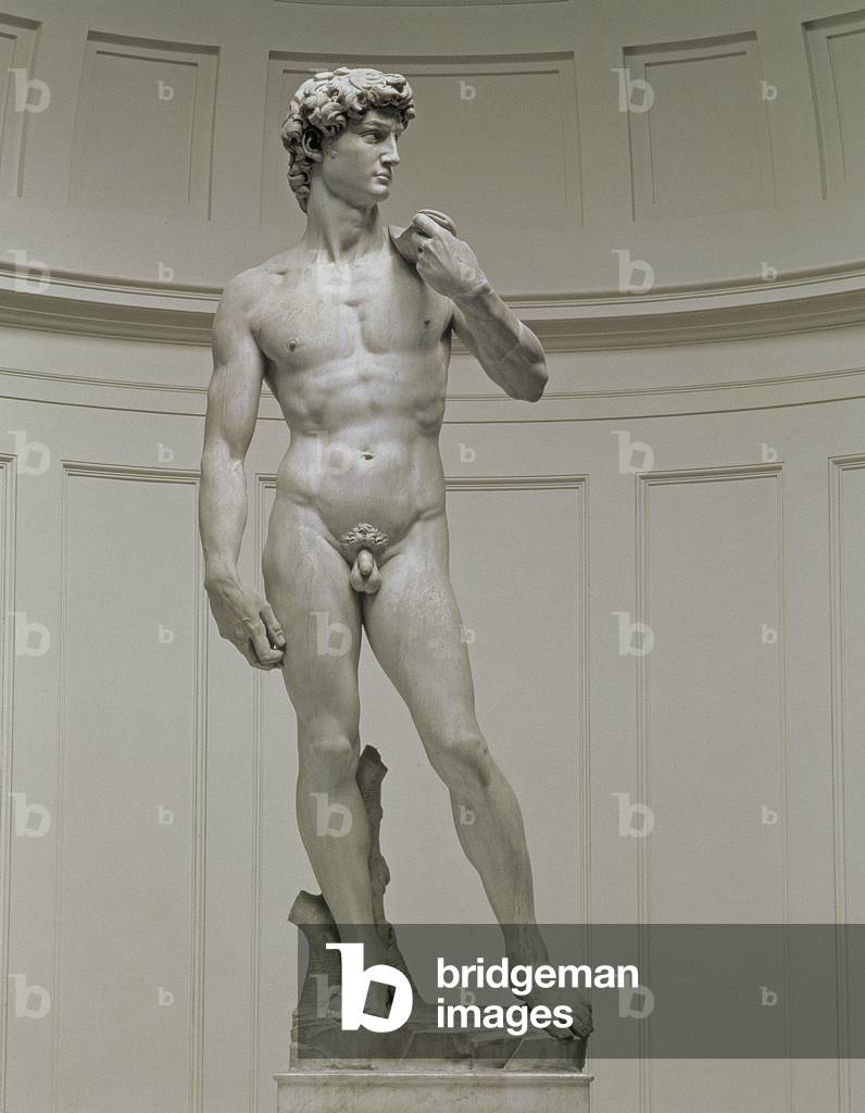 David, 1501-04 (marble)