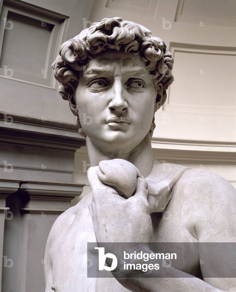 David, 1501-04 (marble)