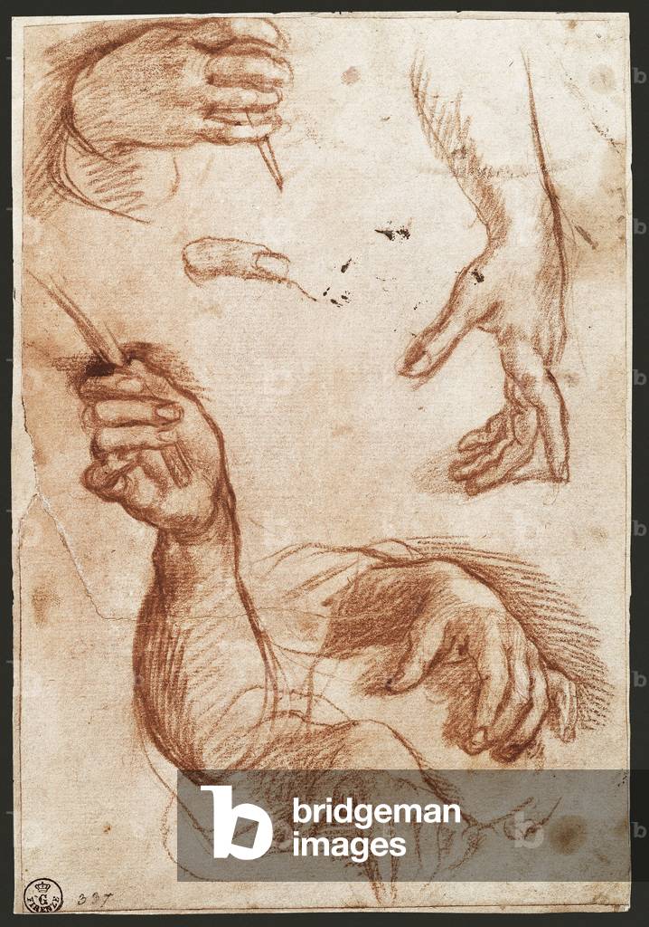 “Study of hands” drawing charcoal (charcoal)