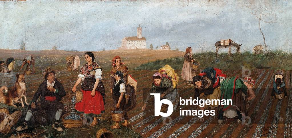 Image of Painting depicting “" The Saffron Collect "” Detail. Painting by Jose Albinana Bru (19th century). 18