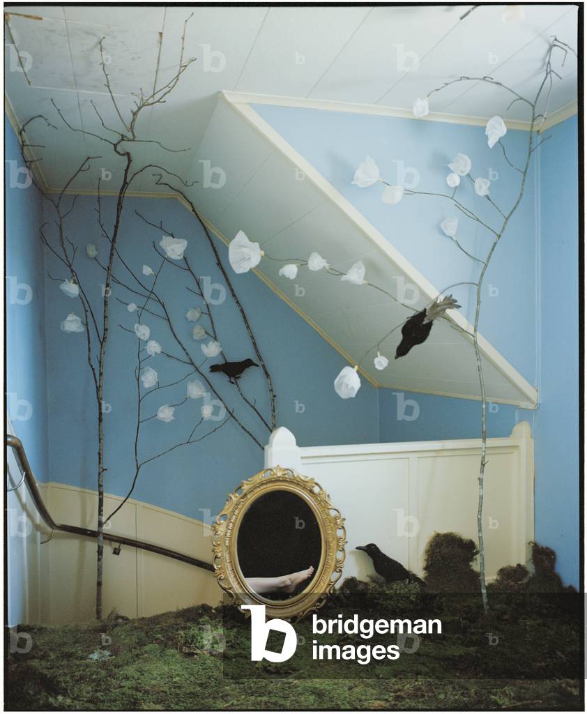 Legs in the Mirror, 2017 (photography)