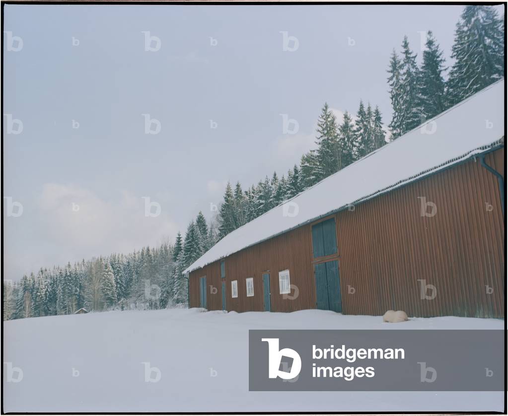 Body and the Barn - 2, 2017 (photography)
