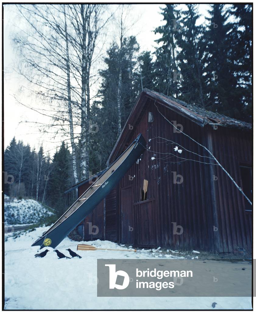 Three Crows and a Boat, 2017 (photography)