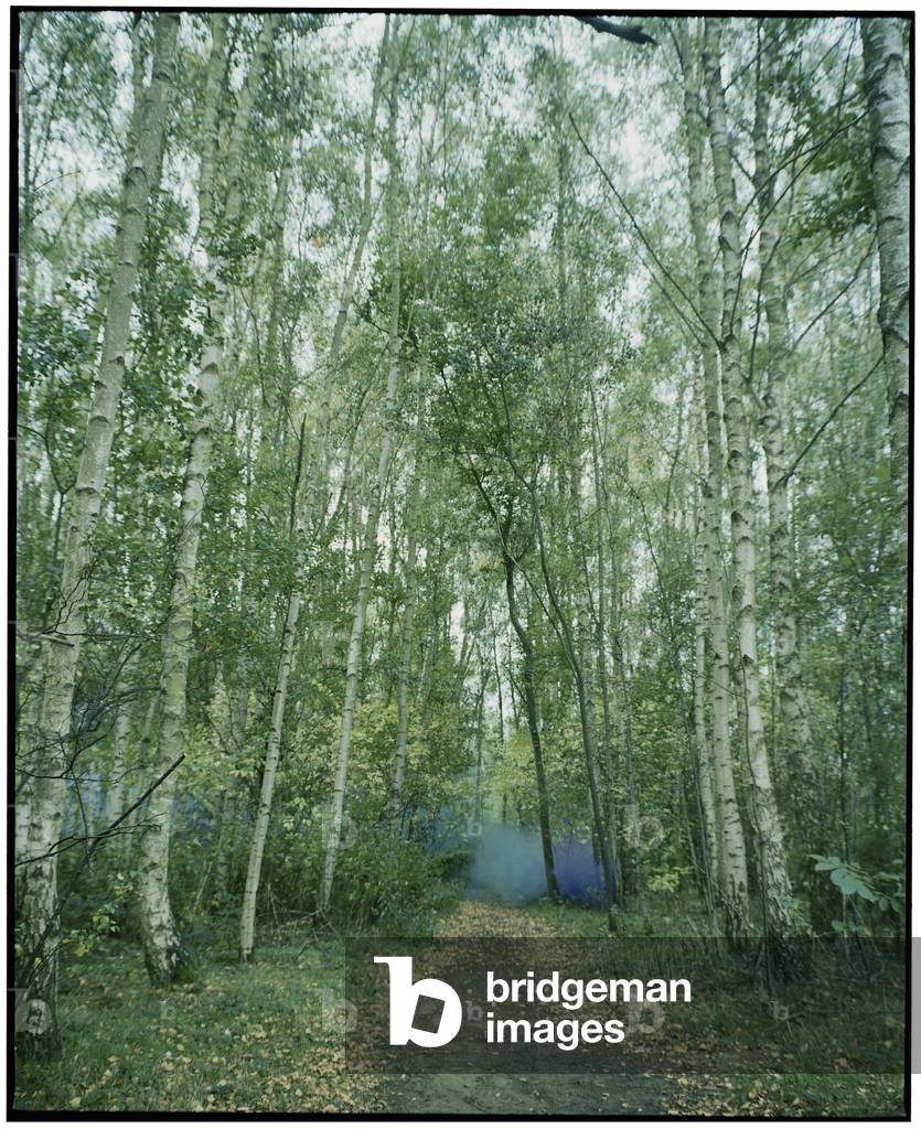 The Twins and the Green Car - 4, 2015 (photography)