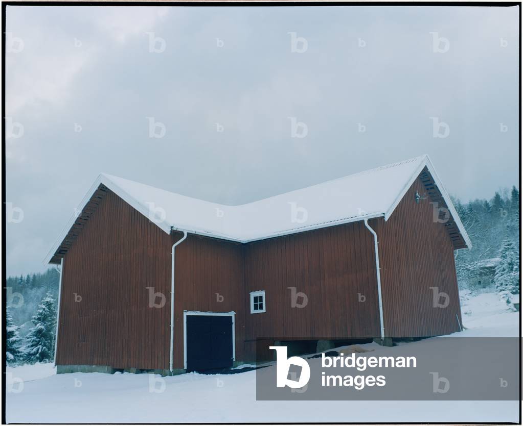 Body and the Barn - 3, 2017 (photography)