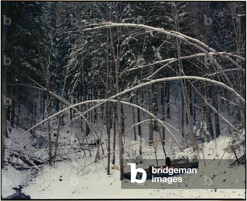 Nude in Boat in the Forest - 2, 2017 (photography)