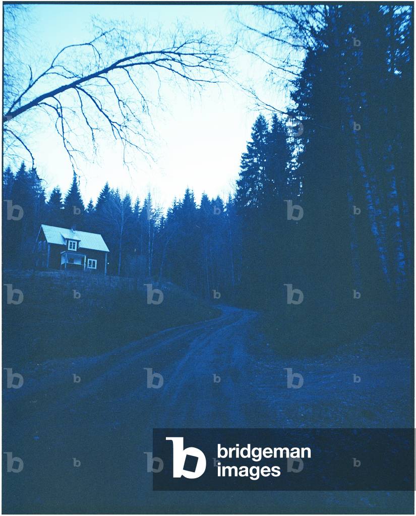 Twilight, 2017 (photography)