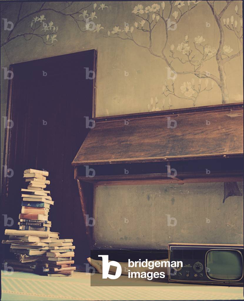 Emily's Legs, 2012 (photography)