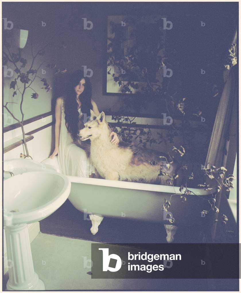 Snow and Wolf in the Bath, 2014 (photography)