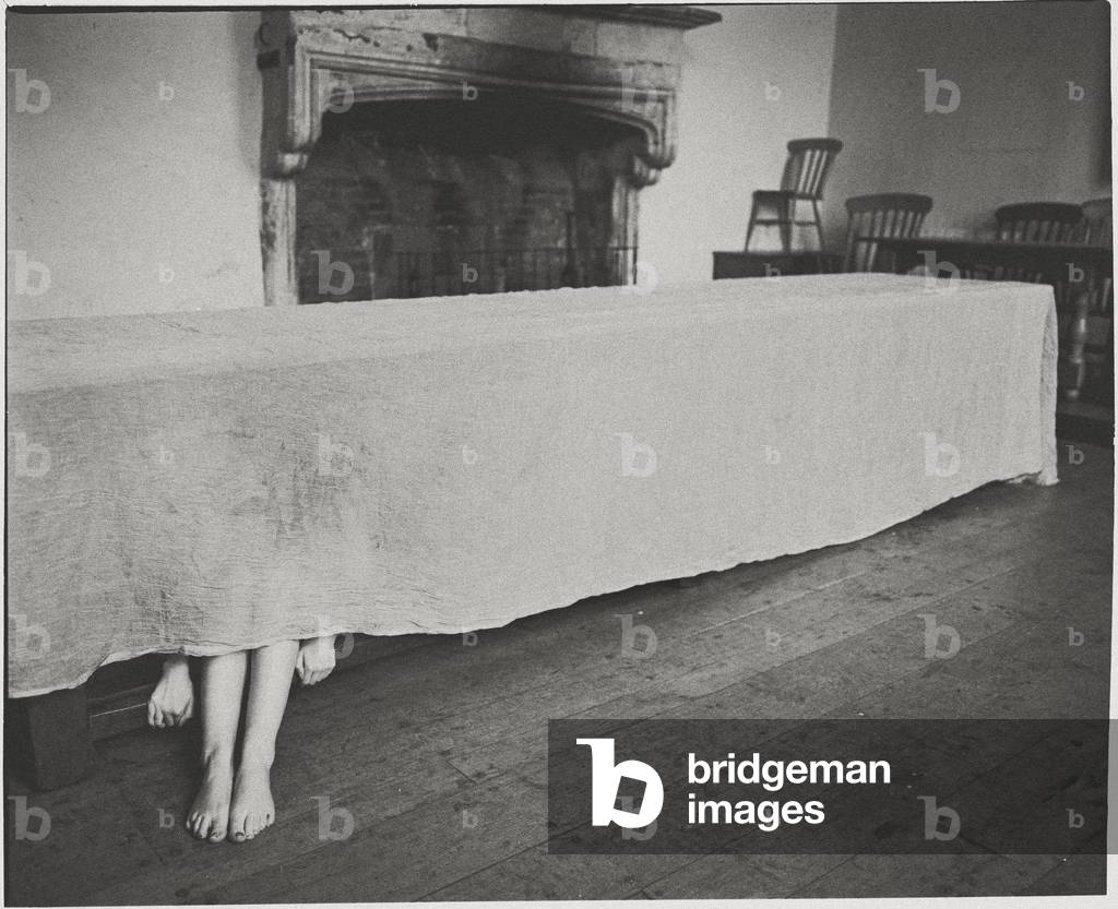 Hidden, 2010 (photography)