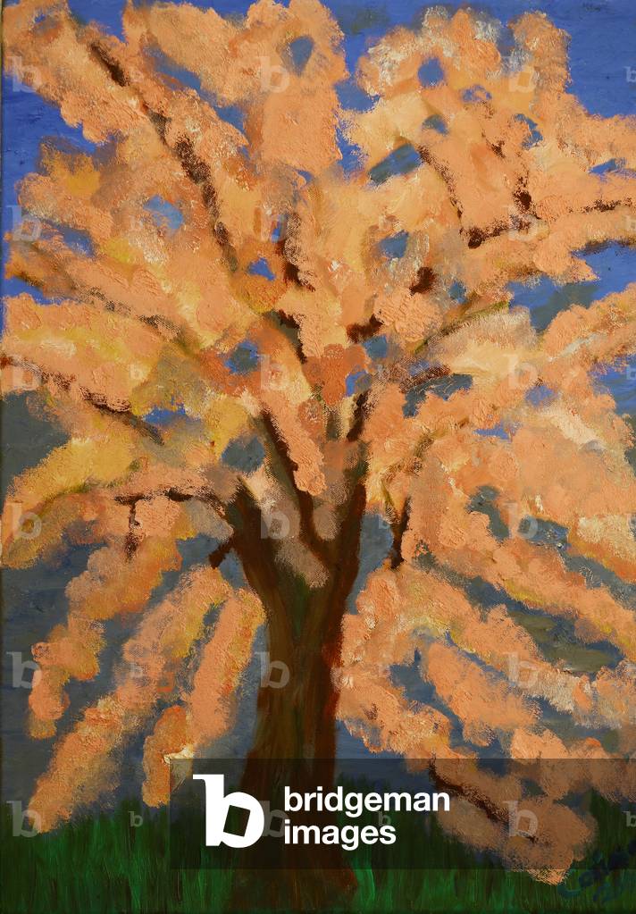 Cherry blossom, Spring London, 2016 (oil on canvas)
