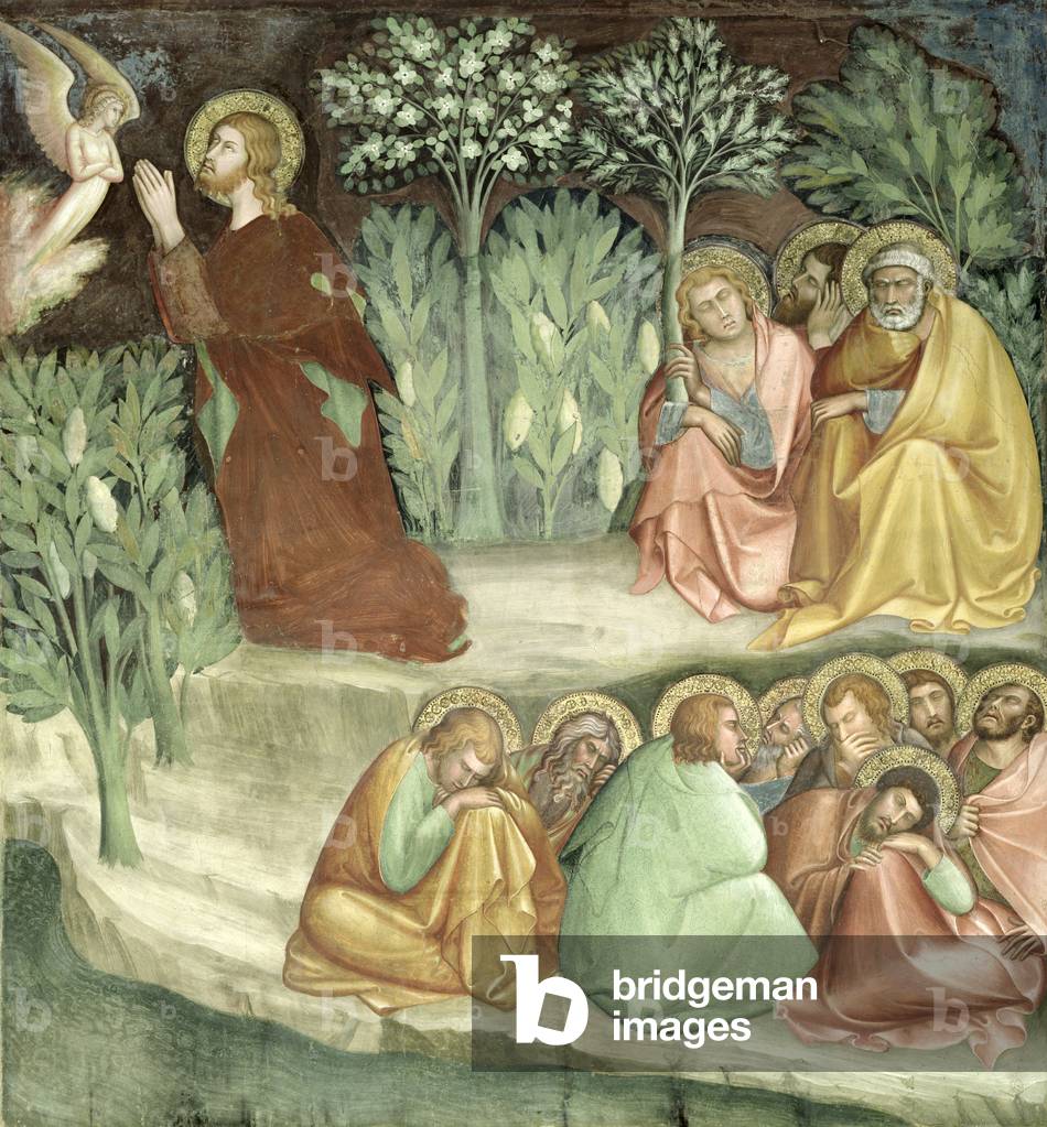 Immagine di Affresco "cristo nel giardino di Getsemani", 14th Secolo di Barna da Siena