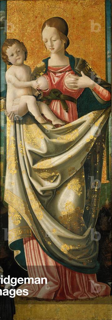 Madonna del Suffragio, c.1520 (tempera on hardwood panel)