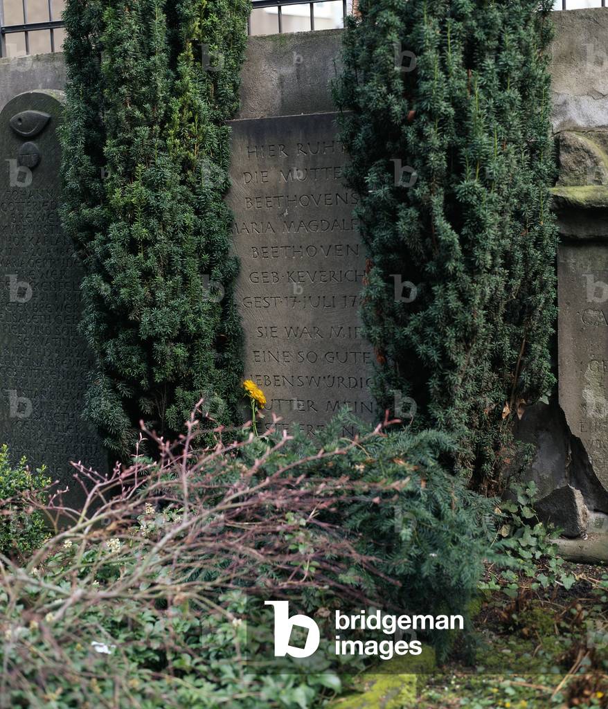 Maria Magdalena Beethoven -