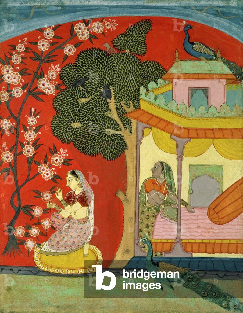una signora Pucking Blossoms, Southern Rajasthan o Deccan, c. 1675 (guazzo su carta)