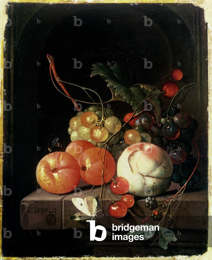 Image of Painting depicting Still Life of Fruit, 17th century by David de II Heem