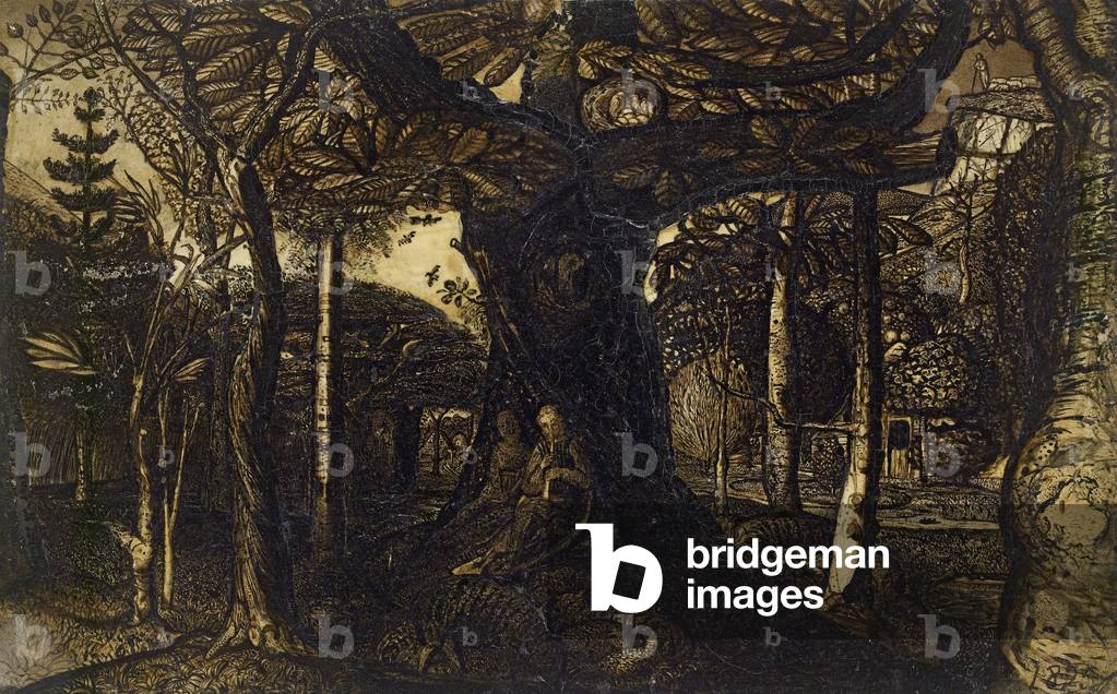 Le gonne di un bosco, 1825 (penna e pennello in seppia)