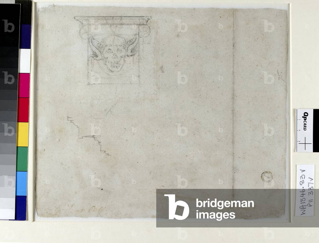 Sketch of an ornament for the Tomb of Pope Julius II, 16th century (charcoal on paper)