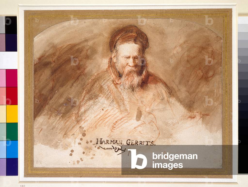 Portrait of an Old Man, 17th century (chalk and bistre wash)