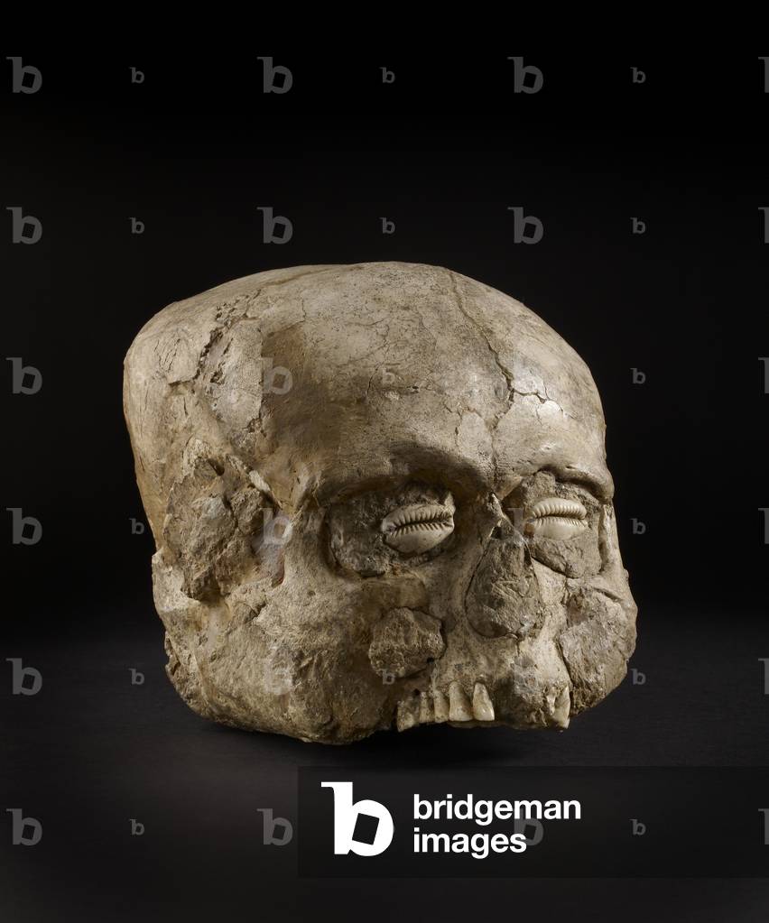 Teschio ritratto con occhi di guscio di cowrie, Jericho, c.7° millennio a.C. (cranio, gesso, conchiglia)