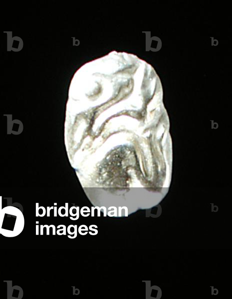 "Applique di lepre" di Scythian