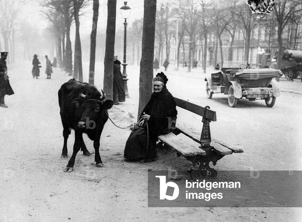 Official photograph taken on the British Western Front, 1917-1918 (b/w photo)
