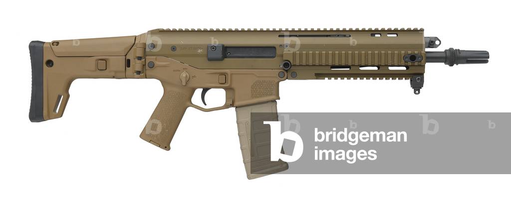 Centrefire automatic rifle, 2010 (photo)