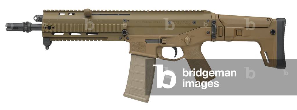 Centrefire automatic rifle, 2010 (photo)