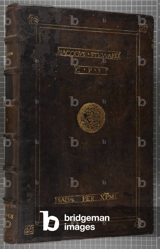 Jacobus Steward (leather)