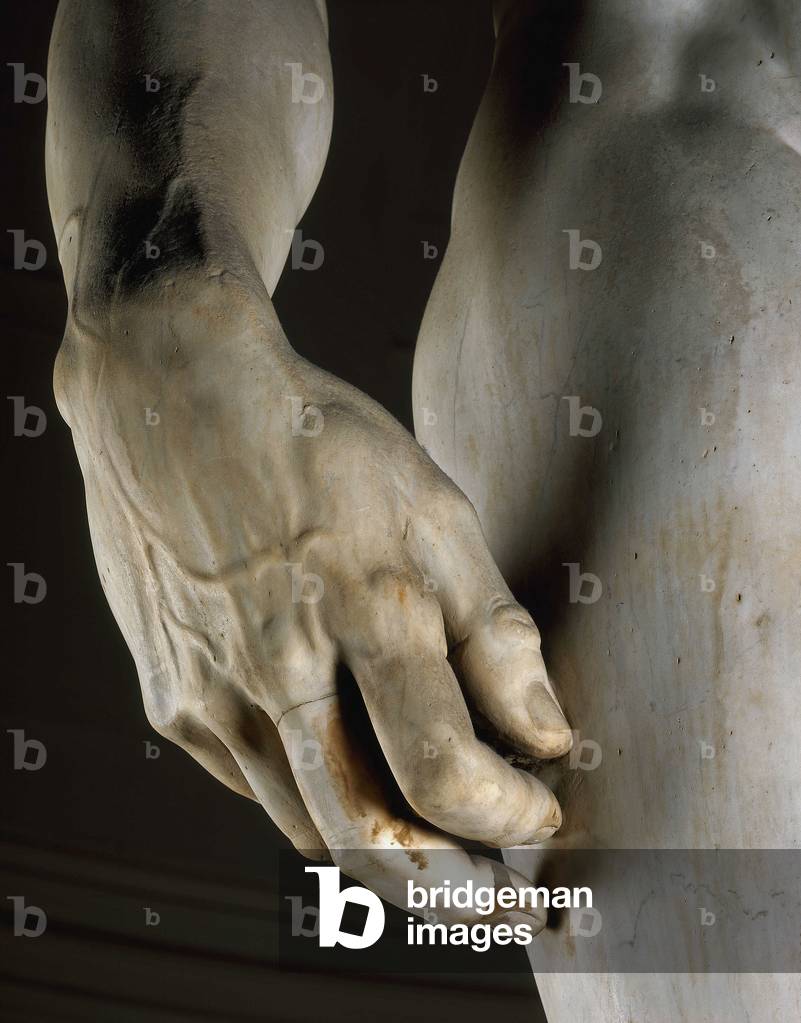 David seen from the front, detail of the right hand. Renaissance sculpture by Michelangelo Buonarroti called Michel Ange (Michelangelo or Michelangelo, 1475-1564), 1501-1504. Galleria dell'Accademia, Florence.