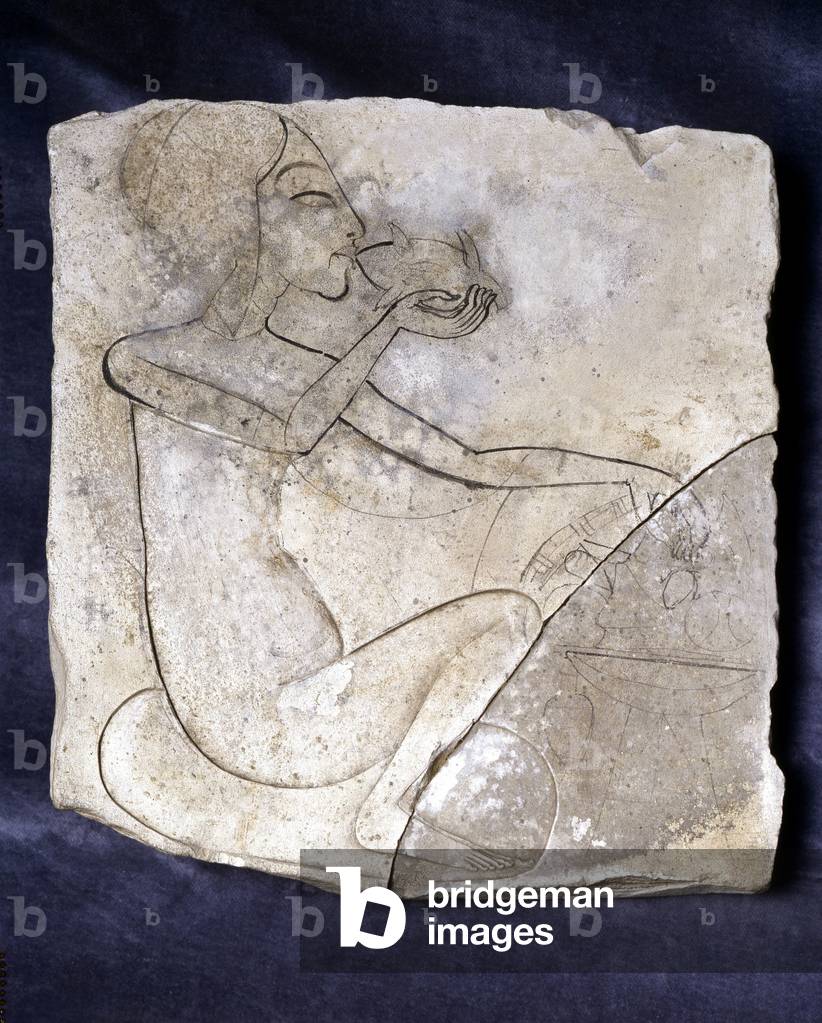 Anatre in una palude di papiro, Tell el-Amarna - Museum of Egypt, Il Cairo