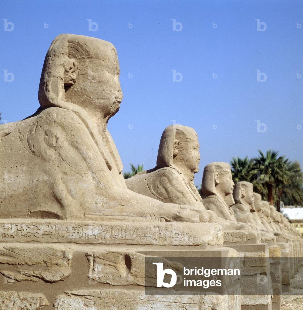 Louksor (Luxor): Temple Boulevard des Sphinxes