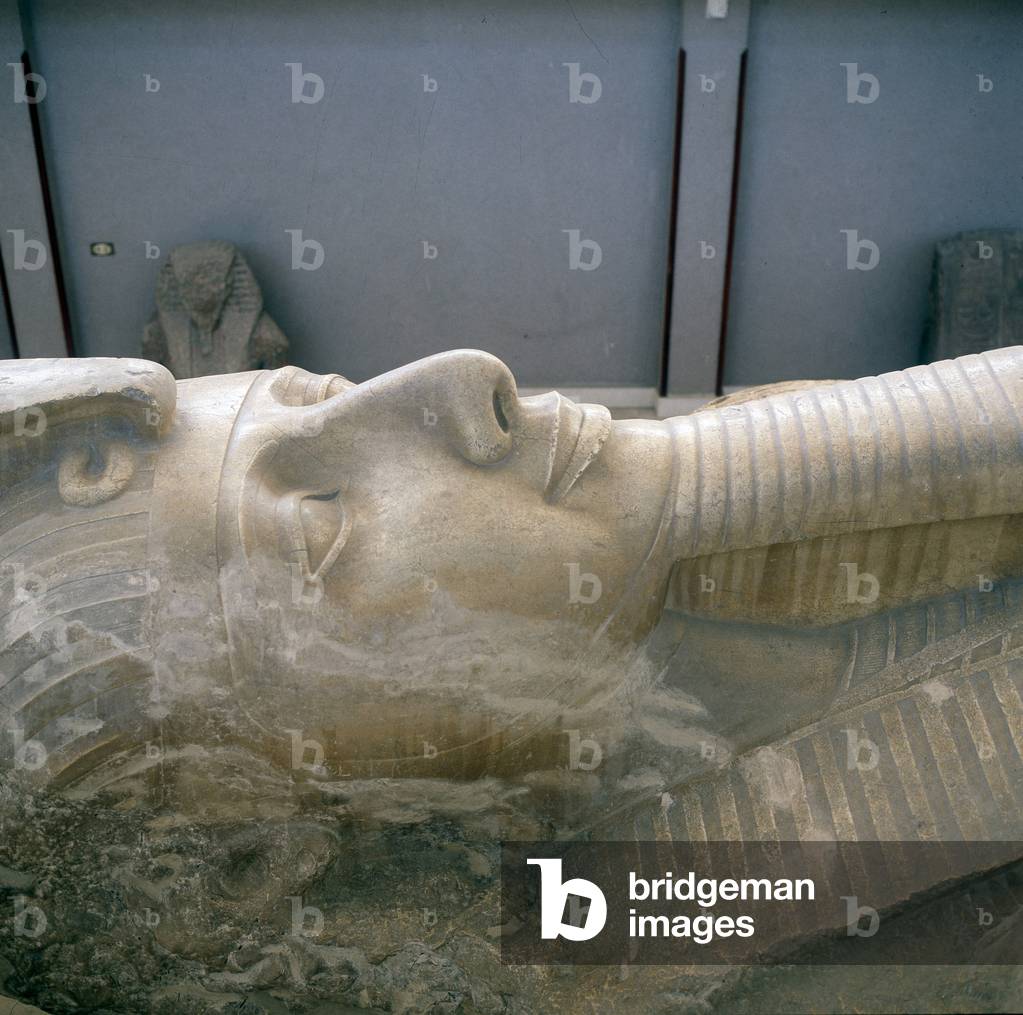 Memphis: Colossus of Ramses II, Details