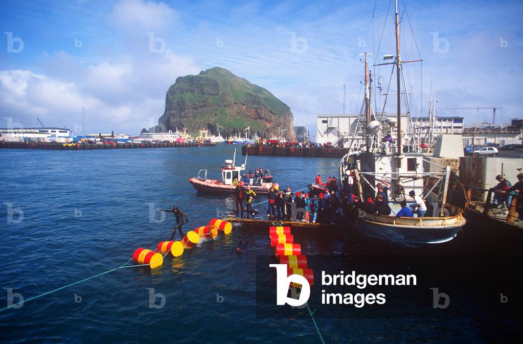 Barrel Jumping, Competition, Seamen's Festival, Westman Islands, Iceland (photo)